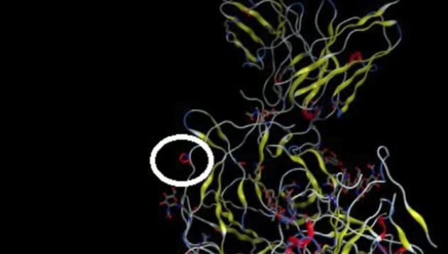 По време на брифинга на здравните власти този петък директорът